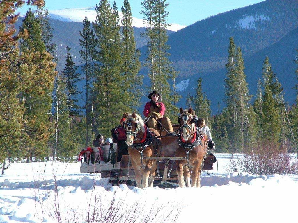 sleighwespanoramaweb